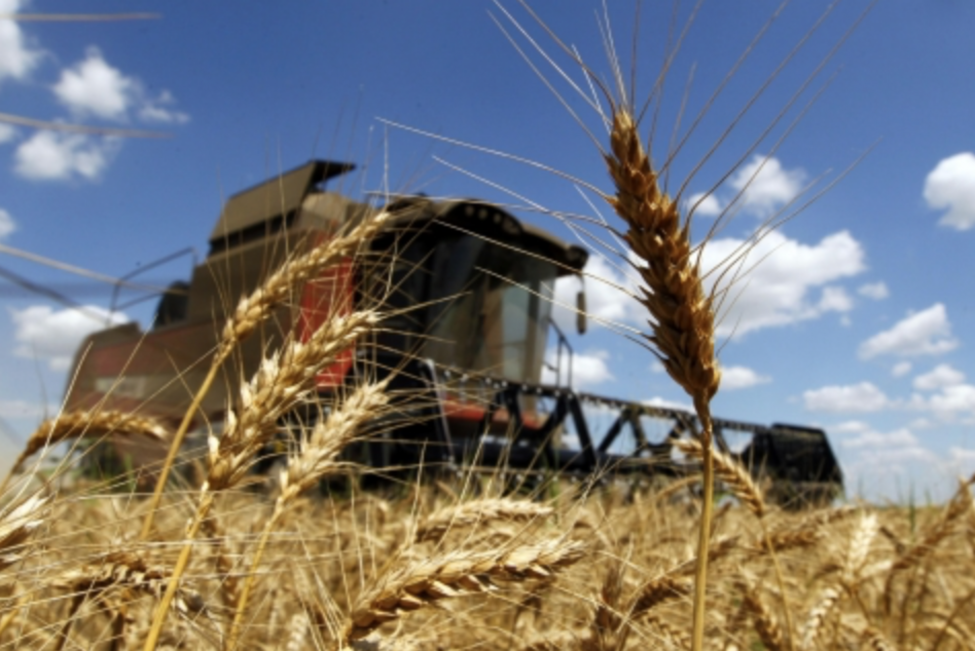 Uruguay firmó iniciativa conjunta en OMC para garantizar funcionamiento de cadena alimentaria
